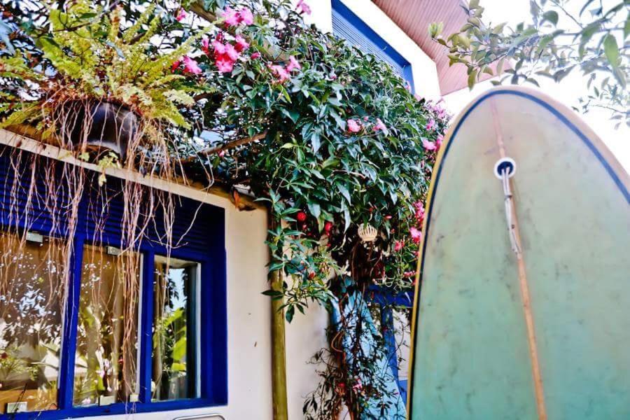 أوباتوبا Casa Bossa Nova Guesthouse المظهر الخارجي الصورة